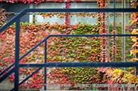 紐約留學生就業情況怎么樣？