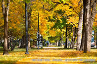 UCL大學地理碩士項目介紹