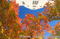 帝國理工學院風險管理碩士排名怎么樣？