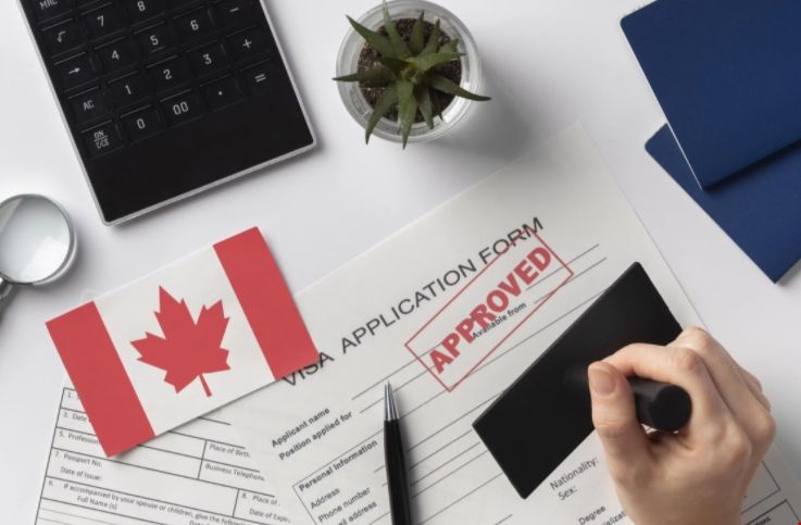 加拿大留學(xué)熱門專業(yè)