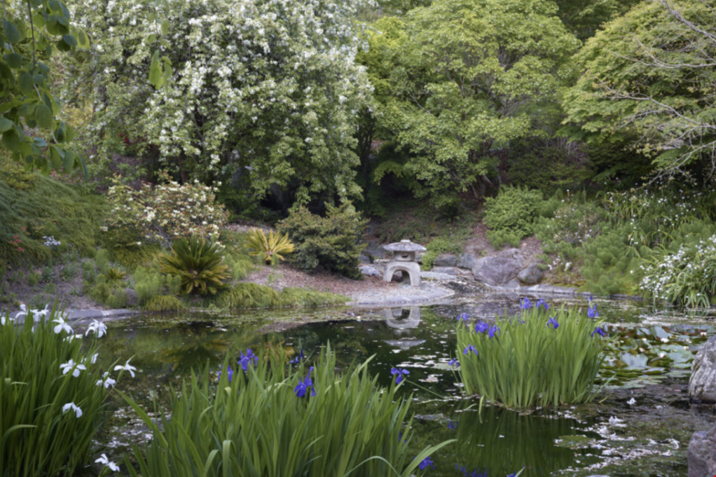 伯克利植物園.png 伯克利植物園.png