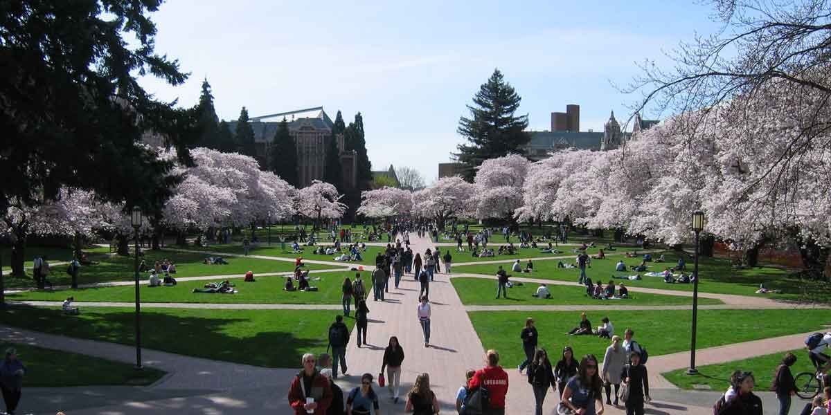 華盛頓大學(xué)西雅圖分校.jpg 華盛頓大學(xué)西雅圖分校.jpg