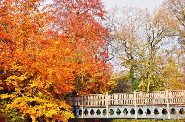 牛津大學(xué)莫德林學(xué)院.png 牛津大學(xué)莫德林學(xué)院.png